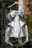 Niulatu A Line Straps Short Birthday Outfits Gray Homecoming Dress HZ1110