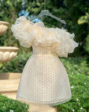 Niulatu Ball Gown One Shoulder Short Birthday Outfits Homecoming Dress HZ1110