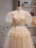 Niulatu A Line V neckline Short Sleeves Tulle Long Prom Dress HZ1110