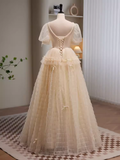 Niulatu A Line V neckline Short Sleeves Tulle Long Prom Dress HZ1110