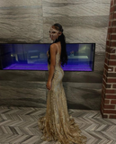 Niulatu Embroidered Corset Style Gold Mermaid Evening Dress HZ1007