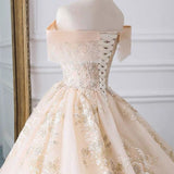 Niulatu Ball Gown Off The Shoulder Lace Long Prom Dresses HZ1110