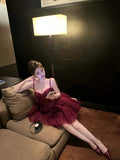 Sexy A line Spaghetti Straps Burgundy Tulle Mini Short Formal 8th Grade Homecoming Dresses Summer Middle School Hoco Dress Homecoming Outfits Birthday Outfit HZ1214
