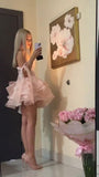 Cute Ball Gown Spaghetti Straps Organza Pink Mini Short Formal 8th Grade Homecoming Dresses Summer Middle School Hoco Dress Homecoming Outfits Birthday Outfit HZ1214
