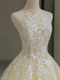 Pretty Ball Gown High Neck Tulle Light Yellow Long Quinceanera Dress Formal Gowns Vestido De 15 Anos Sweet 16 Dress HZ1214