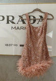 Niulatu Sheath Square Neck Feathers Pink Sequin Short Mini Formal 8th Grade Homecoming Dresses Middle School Short Birthday Gowns Graduation Dress Hoco Outfits HZ1214