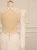 Pretty Wedding Dress Mermaid V Neck Ivory Lace Long Sleeves Backless Vintage Wedding Dresses Bridal Gowns Brides Gown HZ1214