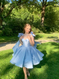 Fancy Short Hoco Dresses Ball Gown Spaghetti Straps Blue Mini Formal 8th Grade Homecoming Dresses Summer Middle School Homecoming Outfits HZ1214