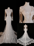 Timeless Bridal Gown Mermaid V Neck Long Sleeves Lace Long Wedding Dresses Elegant Brides Gowns HZ1214