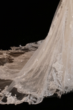 Timeless Bridal Gown Mermaid V Neck Long Sleeves Lace Long Wedding Dresses Elegant Brides Gowns HZ1214