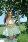 Cute Ball Gown Spaghetti Straps Mint Green Short Homecoming Dress Summer Middle School Formal 8th Grade Hoco Dresses Summer Homecoming Outfits HZ1214