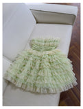 Cute Ball Gown Spaghetti Straps Mint Green Short Homecoming Dress Summer Middle School Formal 8th Grade Hoco Dresses Summer Homecoming Outfits HZ1214