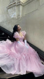Stunning Ball Gown Sweetheart Pink Long Birthday Dress Party Dress Birthday Outfit HZ1214