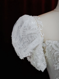 Glitter Wedding Dresses Ball Gown Sweetheart Short Sleeves Lace Wedding Dresses Bridal Gowns HZ1214
