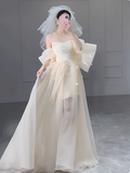 Romantic Bridal Gown Ball Gown Off The Shoulder Wedding Dresses Minimalist Bridal Gowns HZ1214