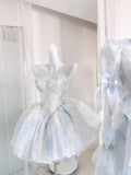Cute Ball Gown Sweetheart Short Light Sky Blue Homecoming Dress Summer Hoco Dresses Cocktail Dress For Senior Teens HZ1214