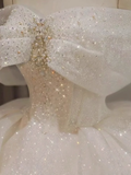 Dreamy Wedding Dress Ball Gown Off The Shoulder Sequin Wedding Dresses Bridal Gowns HZ1214