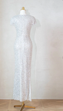 Elegant V neck Sheath Evening Dresses Net Sequin Silver Mother of the Bride Dress HZ1121