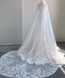 Classy Elegant Mermaid Sweetheart White Lace Wedding Dresses Brides Dress HZ1214