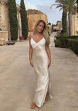 Classy Mermaid Spaghetti Straps Long Prom Dress Graduation Dresses HZ1214