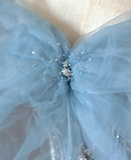 Pretty Ball Gown Strapless Blue Tulle l Sleeveless Long Prom Dresses Evening Dresses HZ1214