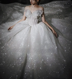 Niulatu Ball Gown Strapless Beaded Sequin Prom Dress Wedding Dress with Butterfly HZ0113