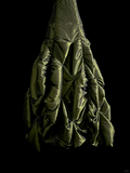 Elegant Glamour Ball Gown Strapless Olive Green Taffeta Long Prom Dresses Party Dress Evening Dress HZ1214