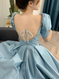 Niulatu Long Prom Dress A-Line Short Sleeve Evening Dress HZ1007
