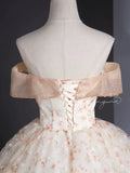 Niulatu Off Shoulder Tulle Lace Champagne Long Prom Dress, Champagne Formal Dress HZ1108