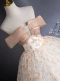 Niulatu Off Shoulder Tulle Lace Champagne Long Prom Dress, Champagne Formal Dress HZ1108
