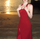 Niulatu Retro V-neck Halter Dress HZ1108