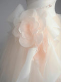 Niulatu Champagne A-Line Strapless Tulle Wedding Dress£¬Gentle Beaded Long Bridal Dress HZ1108