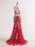 Niulatu V Neck Long Prom Dress with Appliques Beading HZ1103