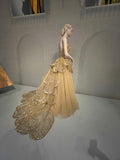 Niulatu A-line Strapless Tulle Sequined Long Ball Gown HZ1103