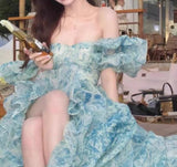 Niulatu A-Line off-shoulder organza print Long Prom Dress Birthday Adult Ceremony Dress HZ1103