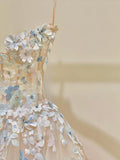 Niulatu Champagne A-Line Spaghetti Straps Tulle Applique Long Prom Dress Sweet Wedding Dress HZ1103