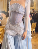 Niulatu Purple Sheath Tulle Beaded Sleeves Long Prom Dresses HZ1103