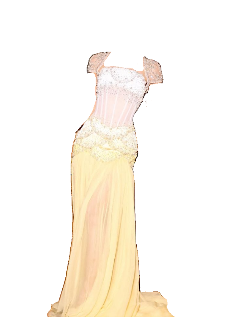 Niulatu Purple Sheath Tulle Beaded Sleeves Long Prom Dresses HZ1103