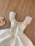 Niulatu Lace Layered Homecoming Dress with Bow Tulle Retro Short Prom Dresses HZ1103