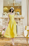Niulatu Butter Yellow Spaghetti Strap A-Line Birthday Dress Elegant Backless Party Dress HZ1103