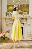 Niulatu Butter Yellow Spaghetti Strap A-Line Birthday Dress Elegant Backless Party Dress HZ1103