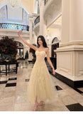 Niulatu Light Apricot Spaghetti Straps Tulle A-Line Birthday Prom Dresses HZ1103