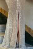 Niulatu Champagne Sheath Spaghetti Straps Mermaid Sequins Long Prom Dress for Party&Special Events HZ1103