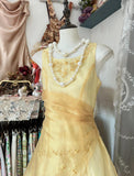 Niulatu Butter Yellow Evening Gowns Round Neck A-Line Tulle Party Dress HZ1103