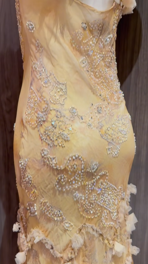 Niulatu Yellow Straps Mermaid Chiffon Beading Long Prom Dresses Vintage Evening Gowns HZ1103