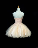 Niulatu Sweetheart Neck A-Line Tulle Lace Short Prom Dress Homecoming Dress HZ1103