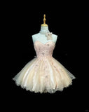 Niulatu Sweetheart Neck A-Line Tulle Lace Short Prom Dress Homecoming Dress HZ1103