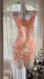Niulatu Orange Pink V-Neck A-Line Beaded Short Prom Dresses HZ1103