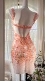 Niulatu Orange Pink V-Neck A-Line Beaded Short Prom Dresses HZ1103