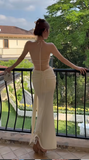 Niulatu Apricot Halter Neck Mermaid Chiffon Long Prom Dresses Formal Evening Gowns with Open Back HZ1031